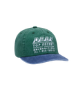 TOP SECRET 6 PANEL CAP PINE GREEN