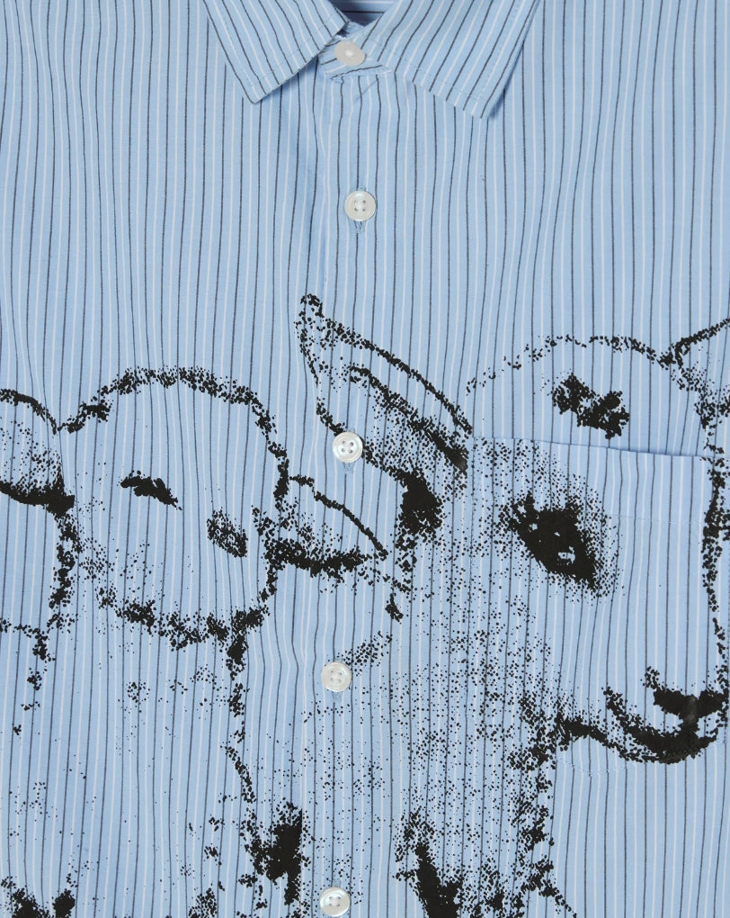 BILLY SHIRT LIGHT BLUE