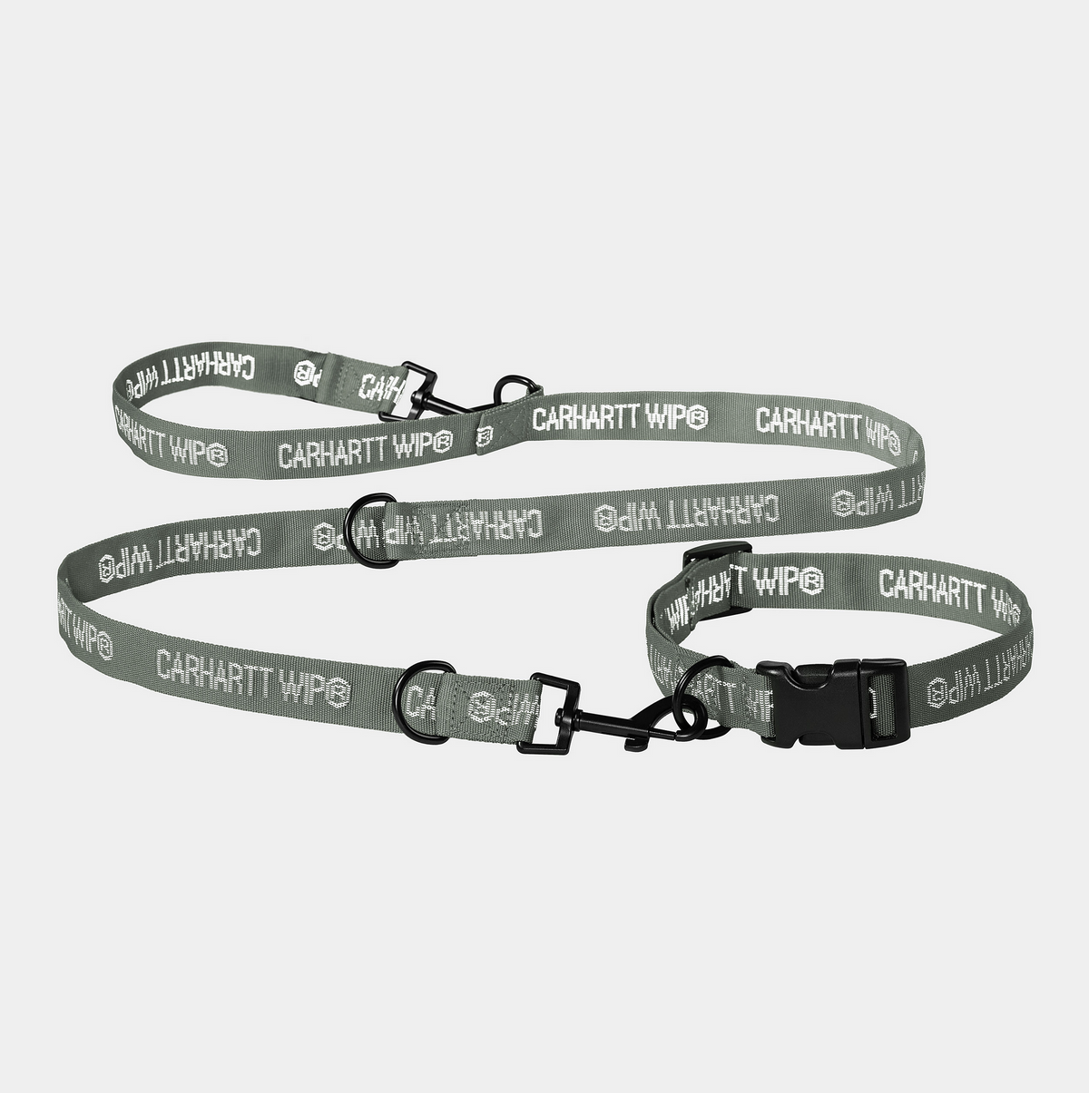TOUR DOG LEASH & COLLAR SMOKE GREEN