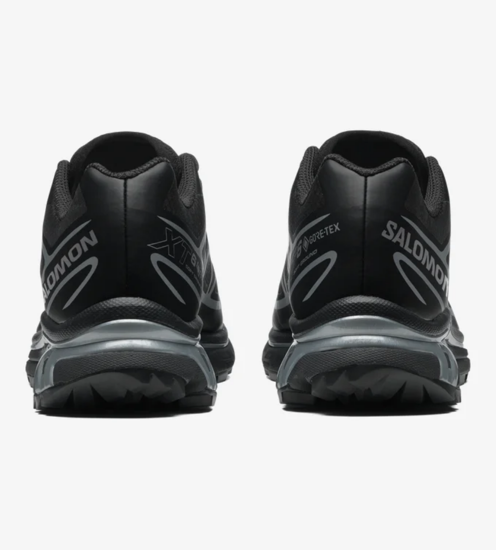 XT-6 GTX BLACK SILVER