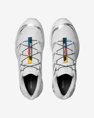 XT-6 GTX WHITE SILVER