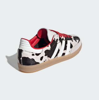 W SAMBA OG AURORA COFFEE