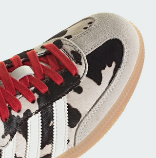 W SAMBA OG AURORA COFFEE